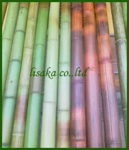color bamboo poles